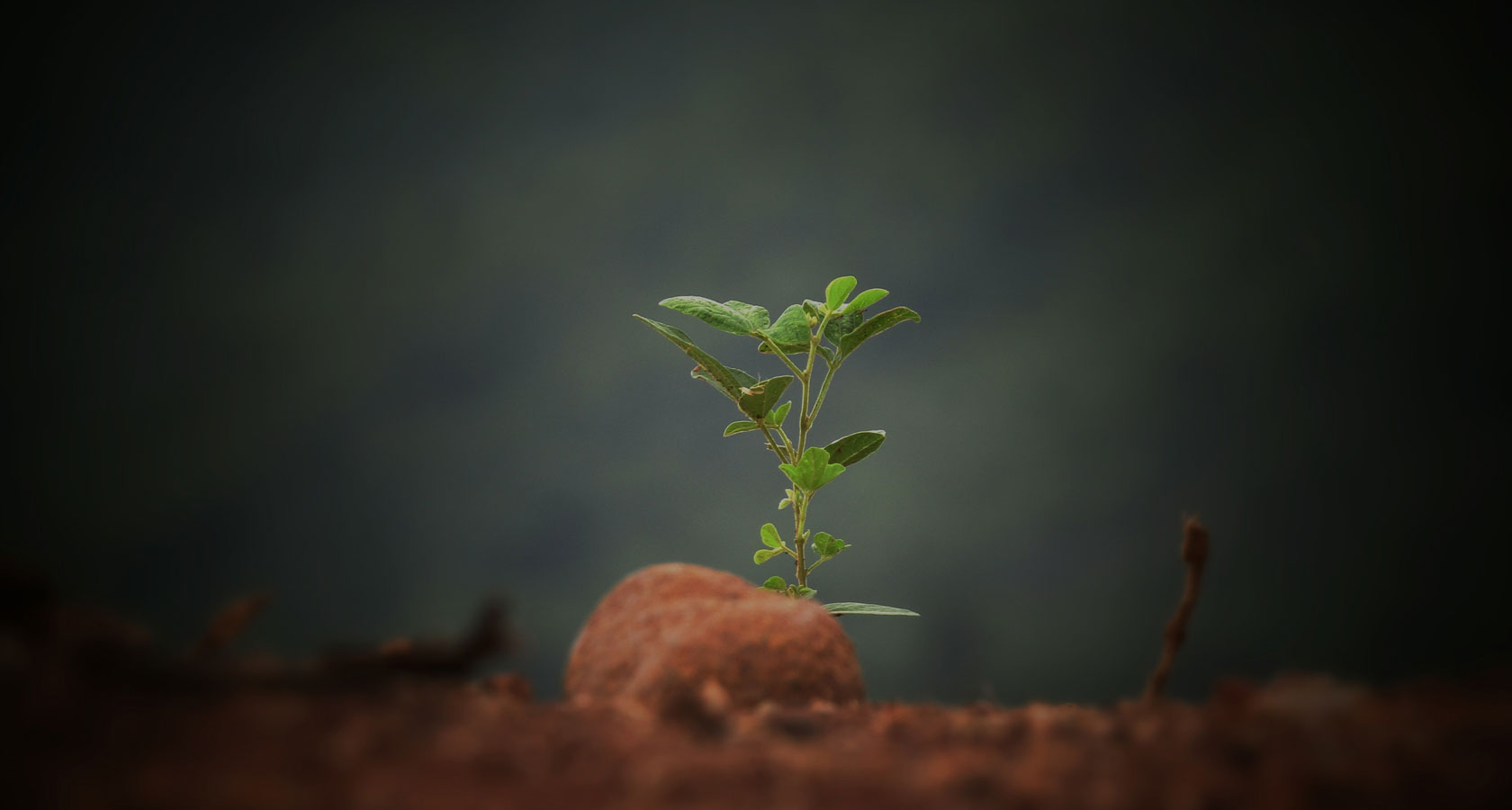 人生就是搏(中国集团)官方网站
